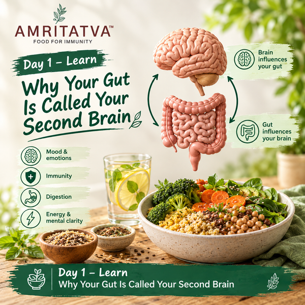 Why Is Your Gut Called the Second Brain?