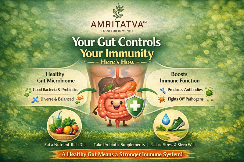 Gut microbiome controlling immunity — how dietary fibre directly trains your immune response